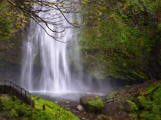 Beautiful waterfalls in lush green rainforest.   Multnomah Falls in Columbia River gorge. Oregon. USA