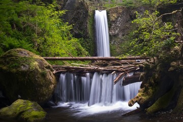 Waterfalls in lush green forest. Rain forest in Columbia River gorge. Oregon. USA