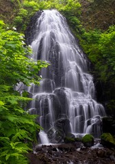 Waterfalls in lush green forest. Rain forest in Columbia River gorge. Oregon. USA