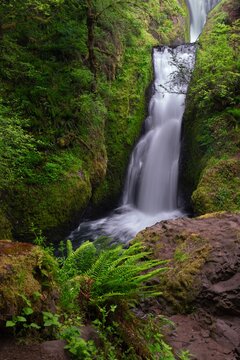 Waterfalls in lush green forest. Rain forest in Columbia River gorge. Oregon. USA