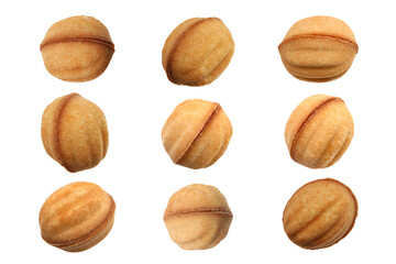 Set of delicious nut shaped cookies with caramelized condensed milk isolated on white