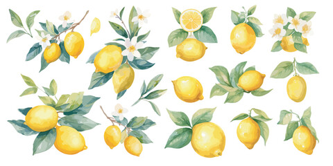watercolor lemon with flower clipart for graphic resources - obrazy, fototapety, plakaty