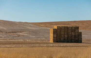 Hay in field 