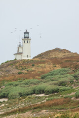 Fototapeta na wymiar Anacapa Island Light Station and foghorn at Channel Islands National Park, California