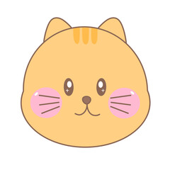orange cat