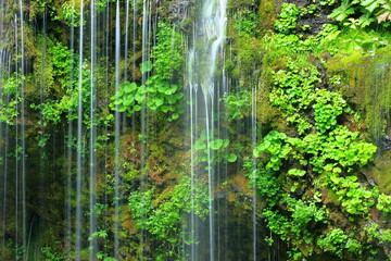 waterfall and green moss on the rocks