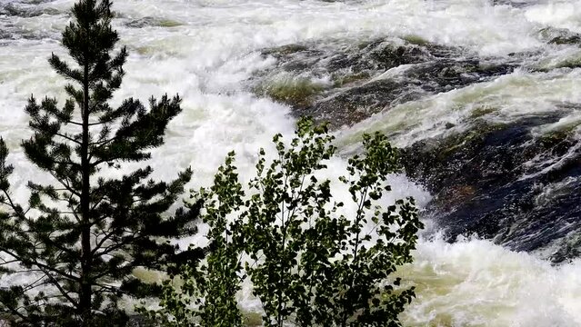 Storforsen, Sweden The Storforsen river rapids on the Pitea River in the Norrbotten region.
