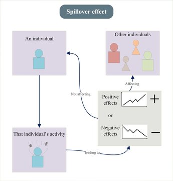 Understanding Spillover Effect: A brief illustration