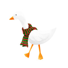 Duck in christmas