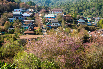 Phitsanulok Thailand January 25 2023 Wat Pa Phuhin Rong kla, Ban Rong Kla, Phu Hin Rong Kla...