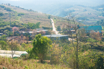 Phitsanulok Thailand January 25 2023 Wat Pa Phuhin Rong kla, Ban Rong Kla, Phu Hin Rong Kla...