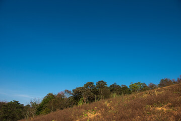 Obraz premium Phitsanulok Thailand January 25 2023 Wat Pa Phuhin Rong kla, Ban Rong Kla, Phu Hin Rong Kla National Park.