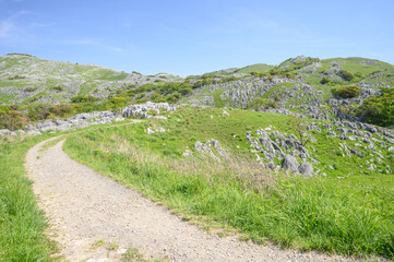 カルスト台地に続く道