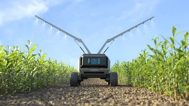Agricultural robots work in smart farms, Robot spraying fertilizer on corn fields, Smart agriculture farming concept.