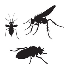 Mosquito Bite Vector silhouette illustration