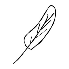 bird feather element doodle icon hand drawn