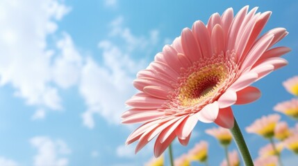 Closeup of one pink blooming Gerbera flower with blue sky as background. Generative AI.