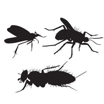 Mosquito Bite Vector silhouette illustration