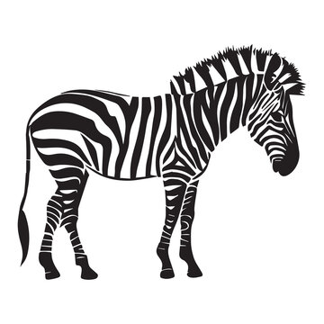 This is a Zebra Vector silhouette illustration.