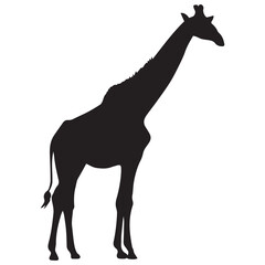 Obraz premium Giraffe vector silhouette