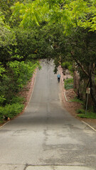 Walking alone through a forest road