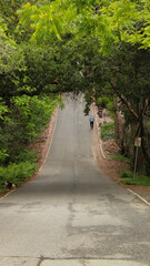 Fototapeta na wymiar Walking alone through a forest road