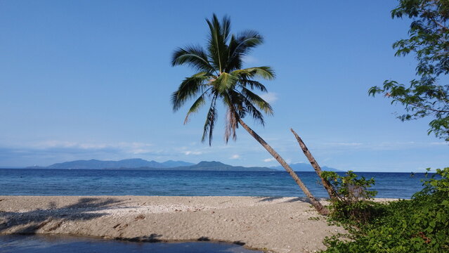 Tropical landscape. Lonely palm tree on the seashore. Palm tree on a sandy beach and a tropical island on the horizon.