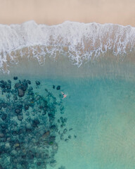 coral reef in the sea
