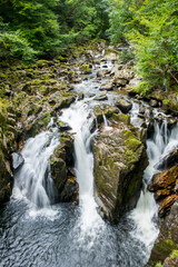 View of waterfall in the woods with trees along the way