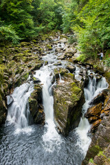 Obraz premium View of waterfall in the woods with trees along the way