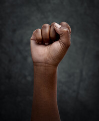 Equality, protest and hand fist for justice or solidarity, human rights and support for the...