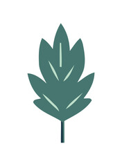 A single leaf, fresh and green