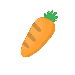 carrot vegetable isolate icon 