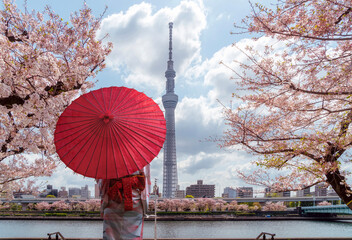 Tokyo skytree tower with sakura pink cherry blossom flower on spring season - obrazy, fototapety, plakaty
