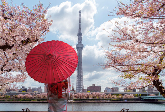 Tokyo skytree tower with sakura pink cherry blossom flower on spring season