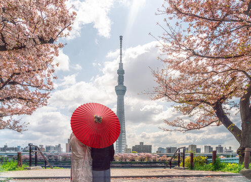Tokyo skytree tower with sakura pink cherry blossom flower on spring season