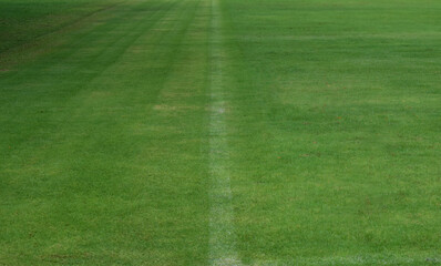 Fototapeta na wymiar green lawn a football field