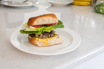 Homemade organic grassfed beef burger with cheese, tomato and lettuce on a plate on kitchen bench.