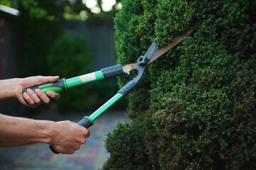 Selective focus on professional garden tools, pruning shears, pruners in the hands of gardener...