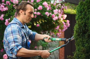 Selective focus. Close-up gardener landscaper horticulturist in blue gardening work uniform, trimming and tending hedge in backyard, using pruners. House exterior maintenance and design. Landscaping