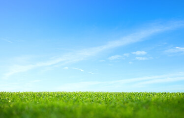 Landscape view of green short grass field with blue sky and clouds background.