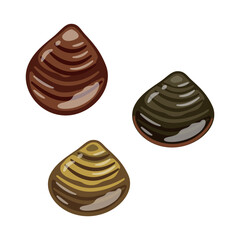 しじみ　セット