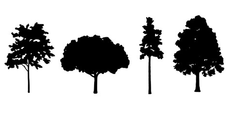 Fototapeta premium various kinds of tree silhouettes