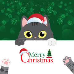 christmas cat and santa claus