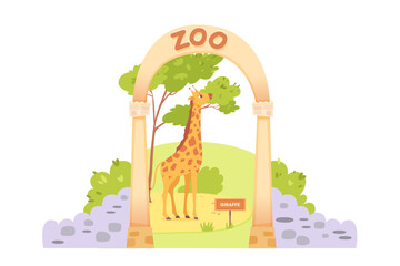 Cute giraffe at open zoo entrance with stone fence, baby animal eating green tree leaves