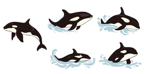 Set with cute cartoon killer whales or orca, vector illustration © Tetiana Kasatkina