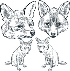 Vintage hand drawn sketch fox heads