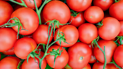 A box of tomatoes on the farm. Full frame tomato photo.