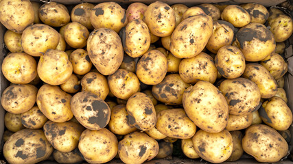 A box of potatoes at the farm. Full frame potato photo.