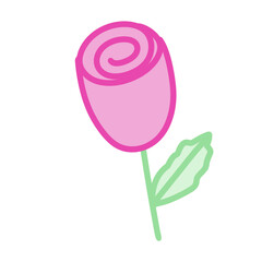 Pink rose 